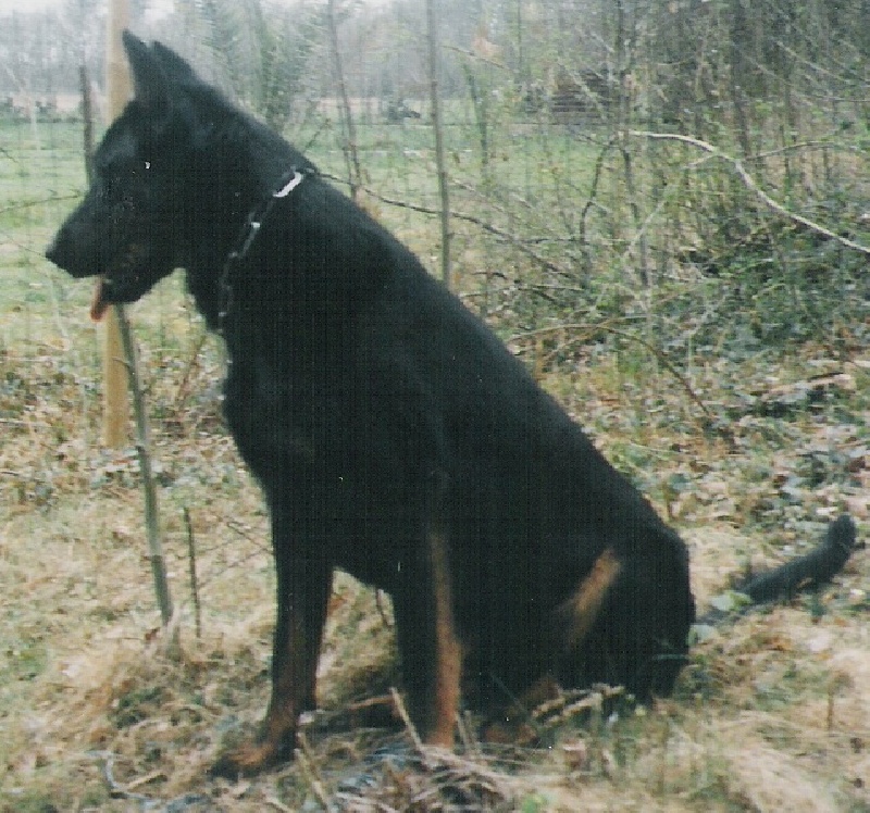 Space de la Plaine D'Astree